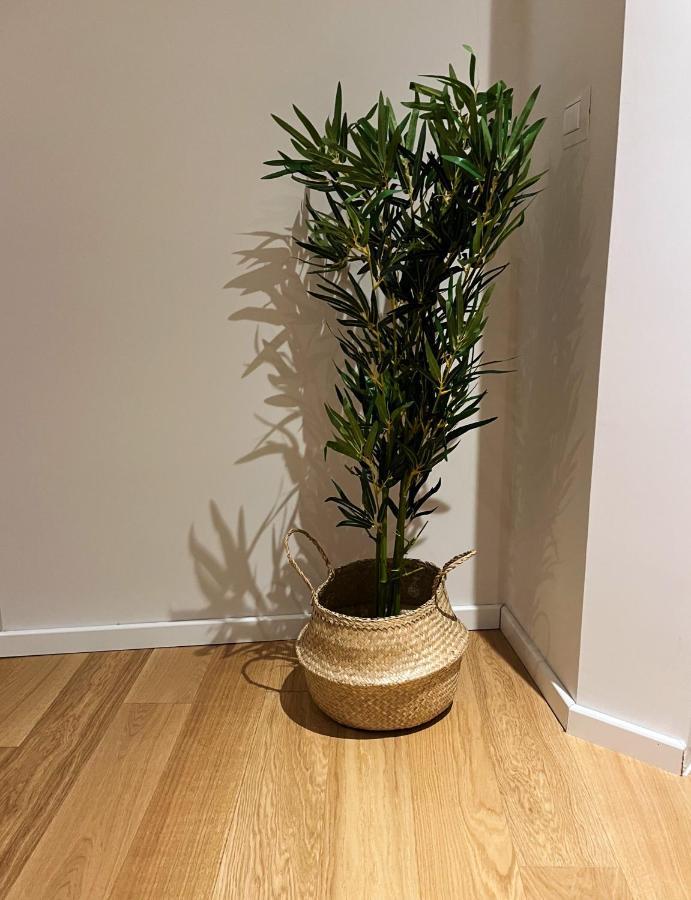 Il Cortile Apartment เอนนา ภายนอก รูปภาพ